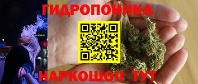индика Новокубанск