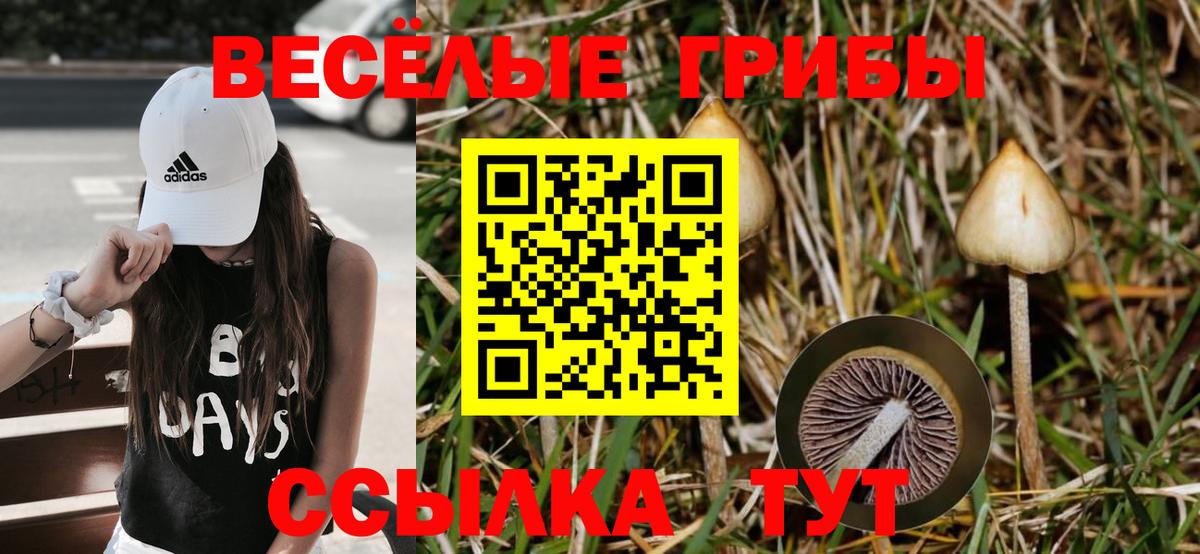 Псилоцибиновые грибы Psilocybine cubensis  Вход с VPN  Топки  Псилоцибиновые грибы мухоморы 
